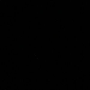 Meet your Posher, Gabby